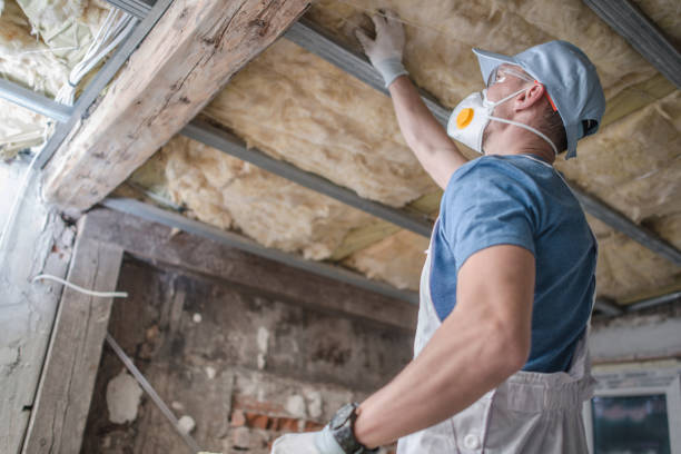 Types of Insulation We Offer in Eldorado, IL