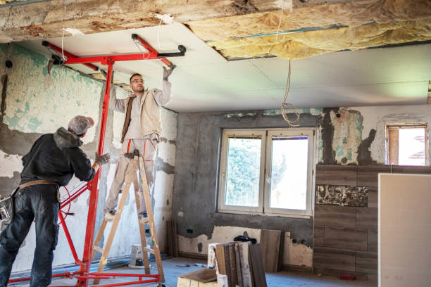 Best Eco-Friendly Insulation in Eldorado, IL