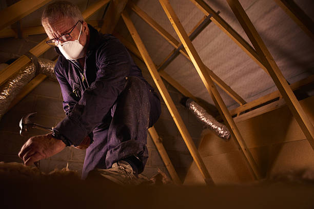 Best Insulation Maintenance and Repair in Eldorado, IL