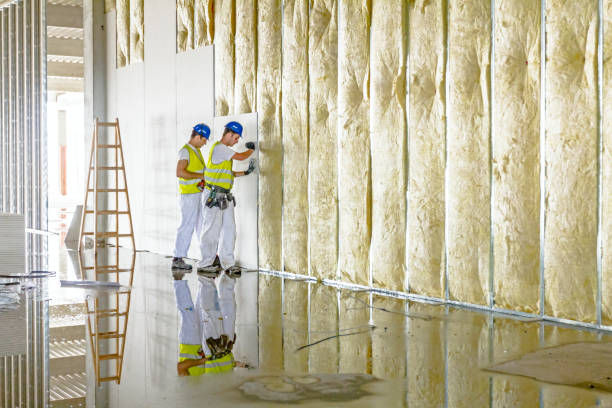 Best Geographic-Specific Insulation Services in Eldorado, IL